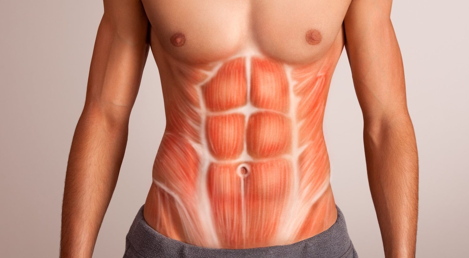 Músculos del abdomen: cuáles son y cómo puedo fortalecerlos