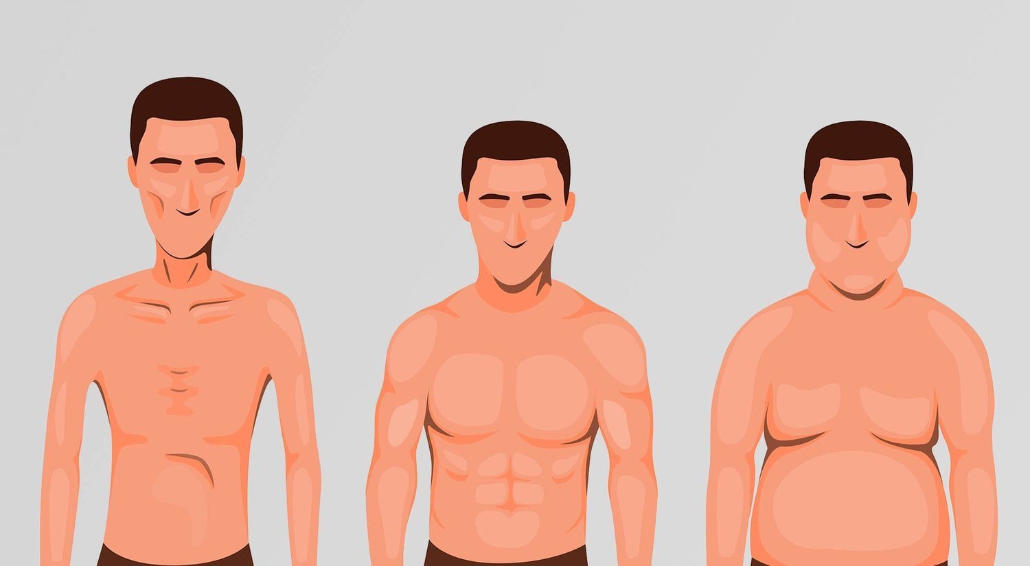 Los 3 tipos de cuerpo que existen y sus características: ectomorfo, mesomorfo y endomorfo