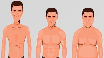 Los 3 tipos de cuerpo que existen y sus características: ectomorfo, mesomorfo y endomorfo