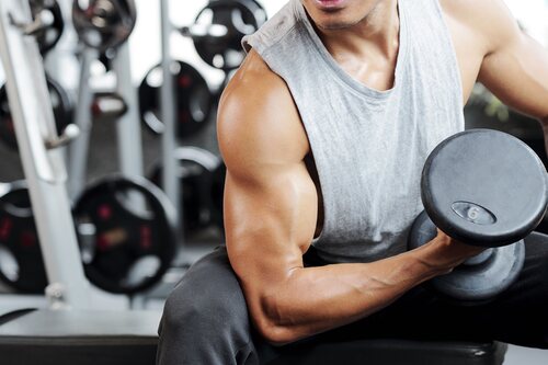 El bíceps es, posiblemente, el músculo más entrenado en un gimnasio