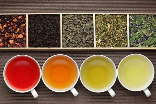 Esta dieta puede hacerte un aficionado a todo tipo de té