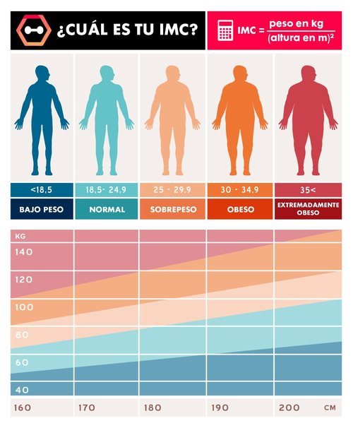 Tu Índice de Masa Corporal determina si tu peso es normal o padeces sobrepeso u obesidad