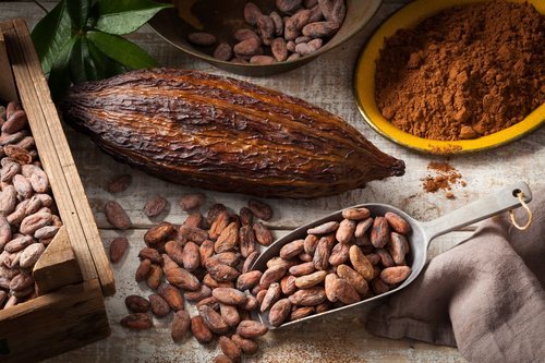 El cacao genera un estado antidepresivo en nuestro organismo.