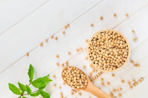 La soja es el único alimento de origen vegetal en contener todos los aminoácidos esenciales.